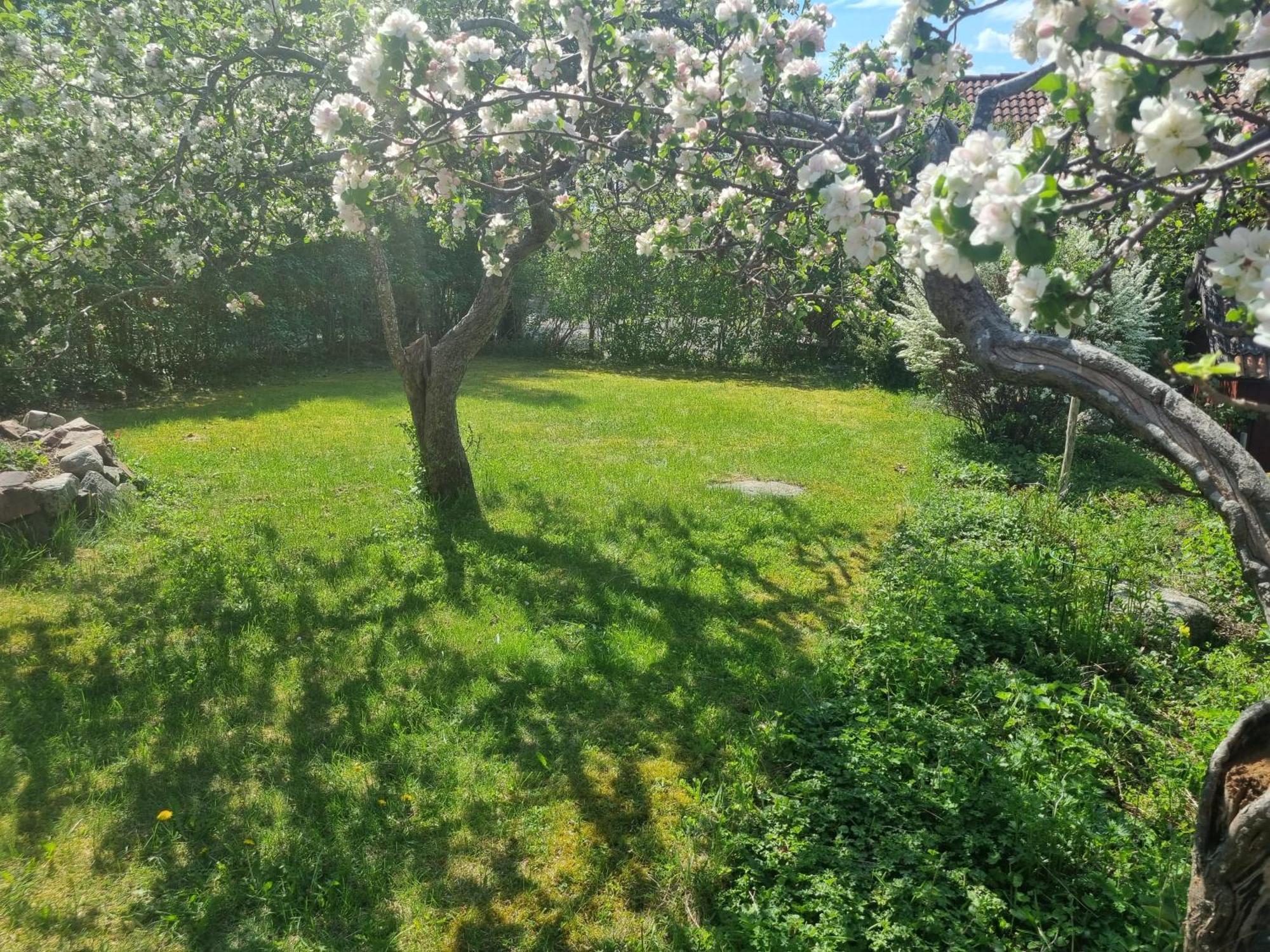Saellinge House - Cozy Villa With Fireplace And Garden Close To Uppsala Exterior foto
